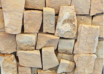 Diseño sin título (63)